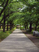 tkf003_136340
