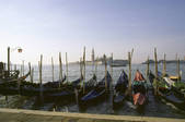 tkf003_139768