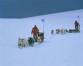 tkf003_139774