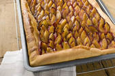 tkf001_673897