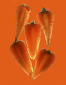 tkf001_674925