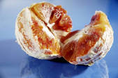 tkf001_692243