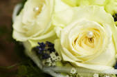 tkf001_707126