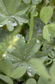 tkf001_710355