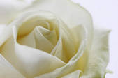 tkf001_713240