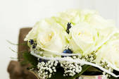 tkf001_720146