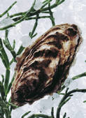 tkf001_726568