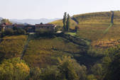 tkf001_733124