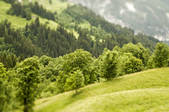 tkf001_895697