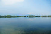 tkf001_905341