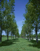 tkf003_140449