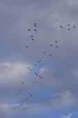 tkf003_146890