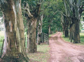 tkf003_148239