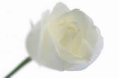 tkf003_154400