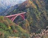 tkf003_154774