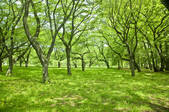 tkf003_157335