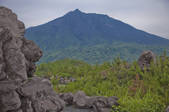 tkf003_162385