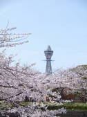 tkf003_164656