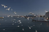 tkf003_166469