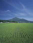 tkf003_167354