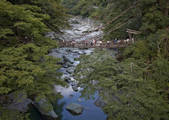 tkf003_169400