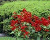 tkf003_170066