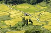 tkf003_177711