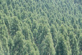 tkf003_177956