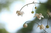 tkf003_178039