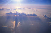 tkf003_261787