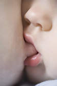 tkf003_289581