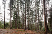 tkf003_289895