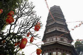 tkf003_290131