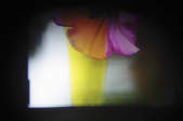 tkf003_290236