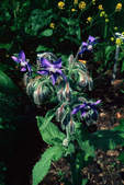 tkf003_308807