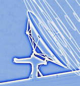 tkf003_312862