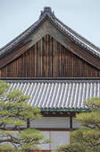 tkf003_323419
