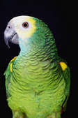 tkf003_325607