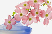 tkf003_335341