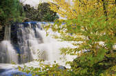 tkf003_339626