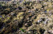 tkf003_341357