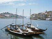 tkf003_344206