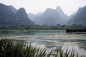 tkf003_346807
