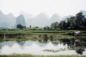 tkf003_346810
