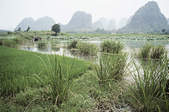 tkf003_346811