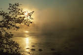 tkf003_355290