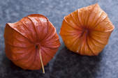 tkf003_359864