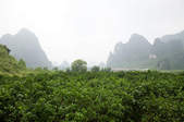 tkf003_377901