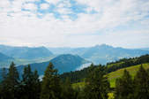 tkf003_385310