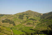 tkf003_388597